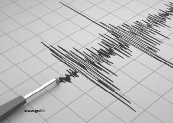 Risques Sismiques En France : Préparation, Prévention Et Protection