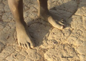 Catastrophe naturelle / sécheresse / changement climatique