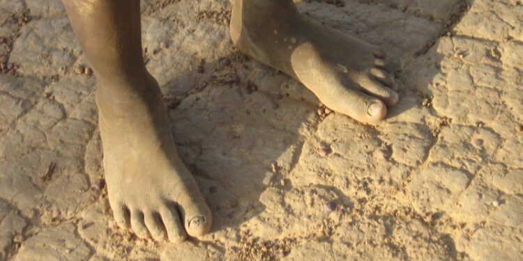 Catastrophe naturelle / sécheresse / changement climatique