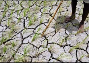 Journée Mondiale de l’Afrique