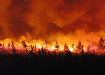 feux de forêts / pompiers / gscf