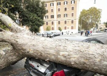 Une violente tempête fait un mort et de nombreux blessés en Suisse