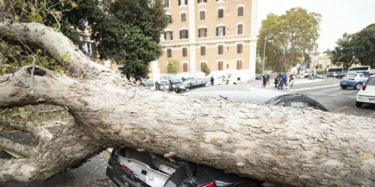 Une violente tempête fait un mort et de nombreux blessés en Suisse