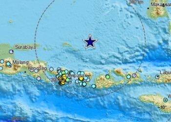 Séisme de Magnitude 7,1 à Bali : Touristes Évacués, Aucun Dégât Majeur Signalé