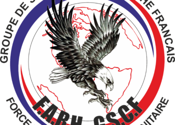 Force d'action rapide humanitaire / Intervention rapide lors de catastrophes naturelles