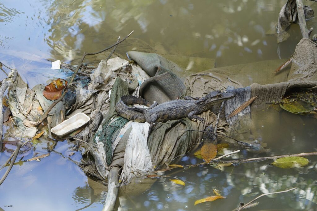 Amazonie / fleuve / sécheresse