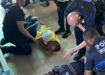 Mayotte : le GSCF poursuit ses actions post-cyclone Chido