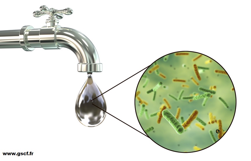 Illustration d'une goutte d'eau contaminée par des bactéries symbolisant les risques sanitaires et épidémiques